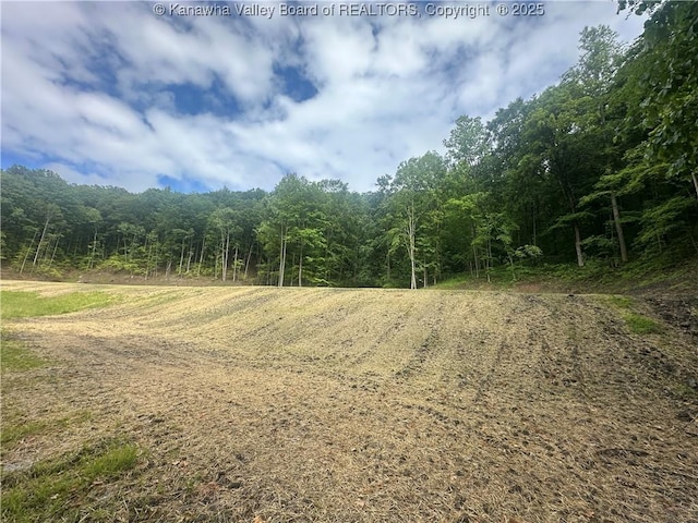 TBD Mountaineer Dr, Danville, WV 25053 - photo 16