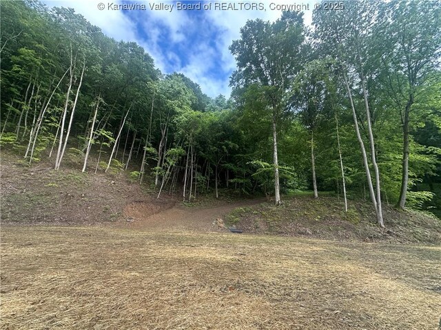 TBD Mountaineer Dr, Danville, WV 25053 - photo 18