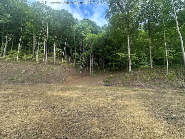 TBD Mountaineer Dr, Danville, WV 25053 - photo 19