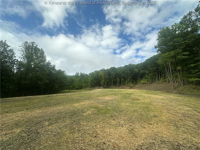 TBD Mountaineer Dr, Danville, WV 25053 - photo 20