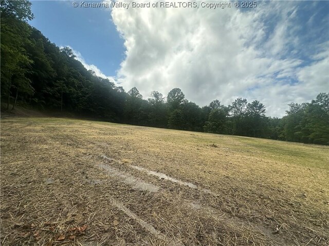 TBD Mountaineer Dr, Danville, WV 25053 - photo 22