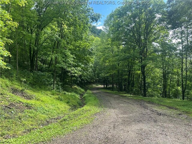 TBD Mountaineer Dr, Danville, WV 25053 - photo 23