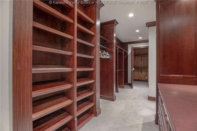230 Quarry Rdg E, Charleston, WV 25304 - walk in closet featuring light colored carpet
