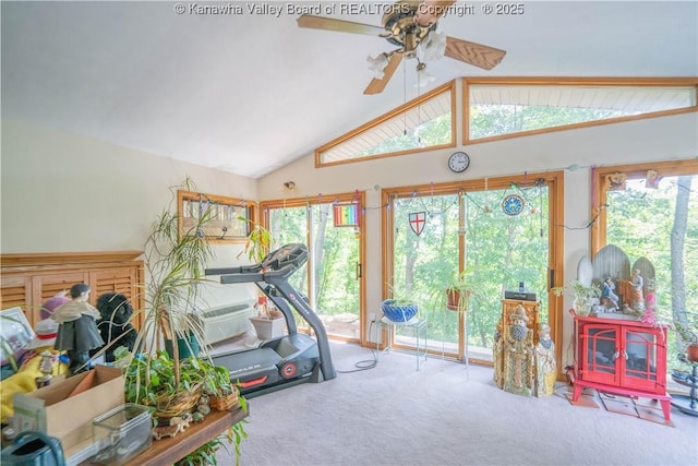 868 Alta Rd, Charleston, WV 25314 - exercise area featuring carpet flooring, ceiling fan, and vaulted ceiling
