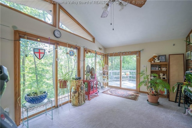 868 Alta Rd, Charleston, WV 25314 - sunroom with carpet flooring, healthy amount of natural light, and high vaulted ceiling