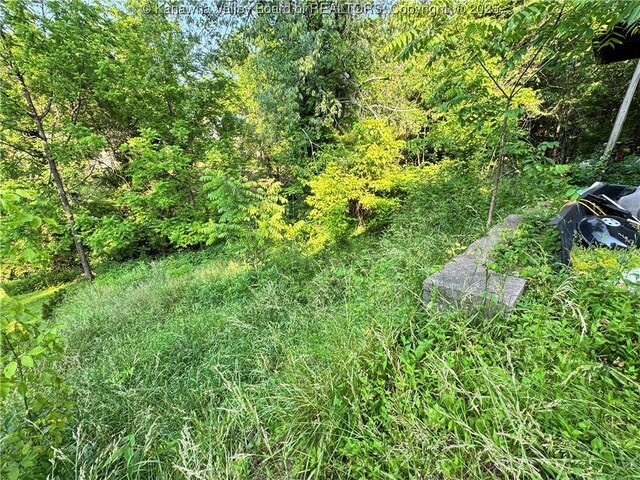 210 Ferndale Dr, Charleston, WV 25302 - photo 6