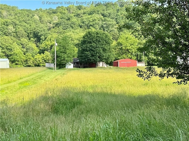 3112 Cicerone Rd, Charleston, WV 25320 - view of yard with an outbuilding, a view of trees, and a pole building