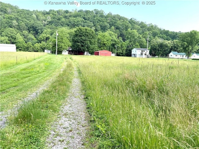 3112 Cicerone Rd, Charleston, WV 25320 - view of yard featuring a forest view, an outdoor structure, and a rural view