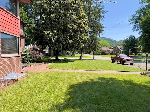 3915 Virginia Ave SE, Charleston, WV 25304 - view of green lawn