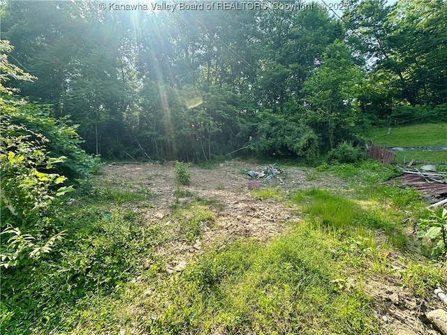 80 Restful Haven Dr, Logan, WV 25601 - view of yard with a forest view
