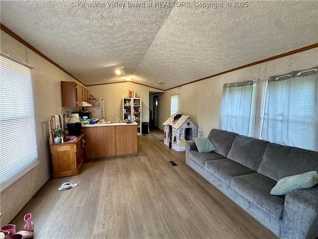 80 Restful Haven Dr, Logan, WV 25601 - living room featuring crown molding, light wood-style flooring, a textured ceiling, healthy amount of natural light, and vaulted ceiling