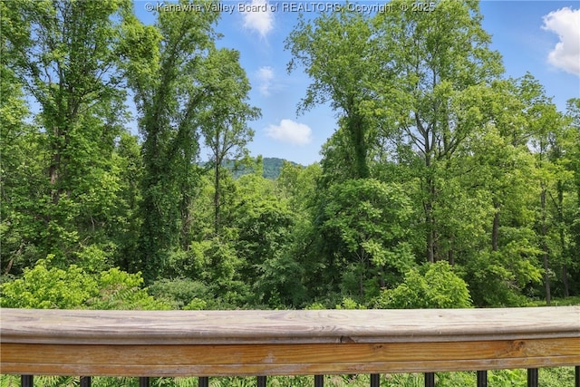 3021 Sansom Ct, Milton, WV 25541 - view of wooded area