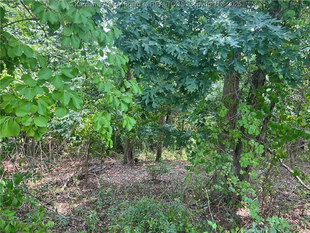 0 Suncrest Pl, Charleston, WV 25303