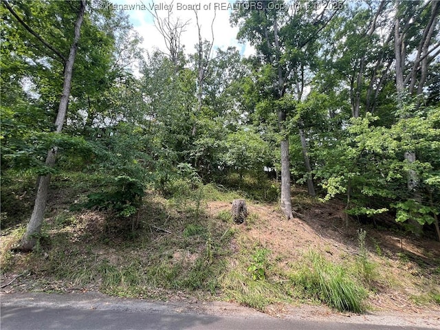 0 Suncrest Pl, Charleston, WV 25303
