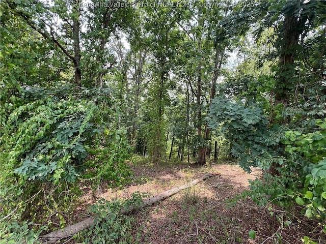 0 Suncrest Pl, Charleston, WV 25303