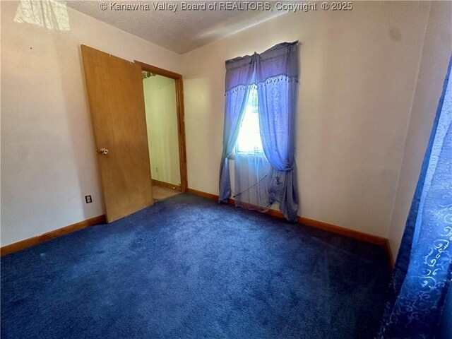 457 Harts Creek Rd, Verdunville, WV 25649 - photo 17