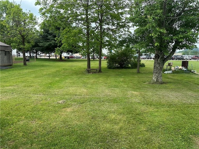 386 Maple St, Mason, WV 25260 - view of grassy yard
