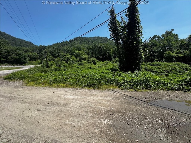 245 245 Way, Man, WV 25635