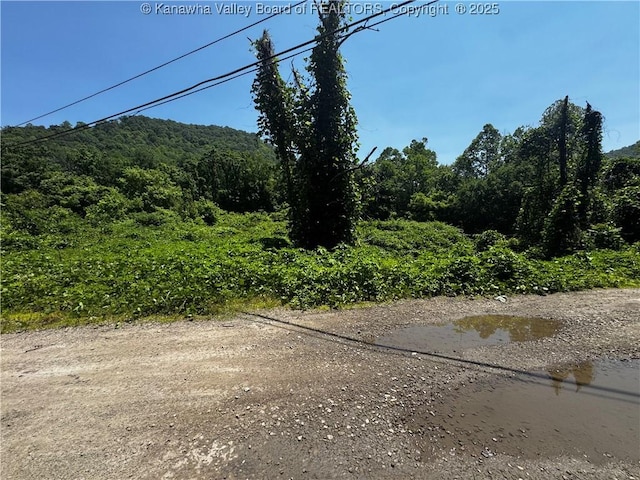 245 245 Way, Man, WV 25635