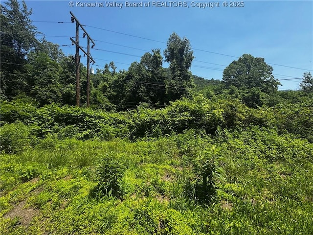 245 245 Way, Man, WV 25635