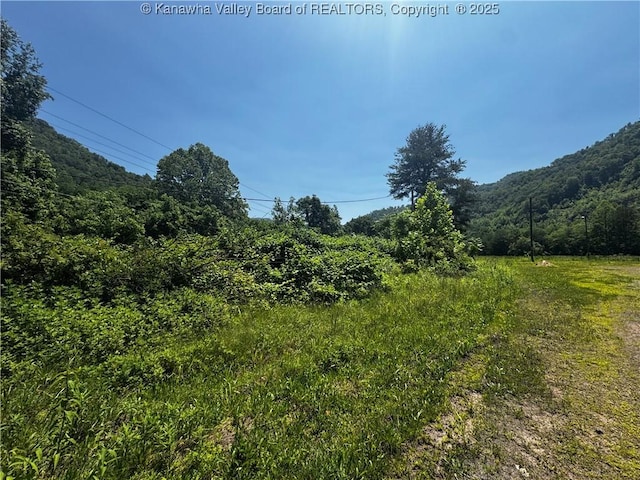 245 245 Way, Man, WV 25635