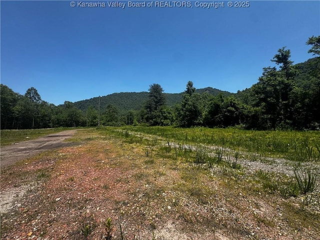245 245 Way, Man, WV 25635