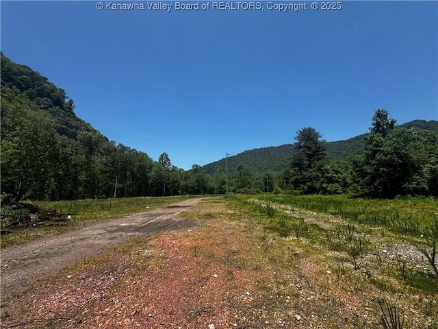 245 245 Way, Man, WV 25635