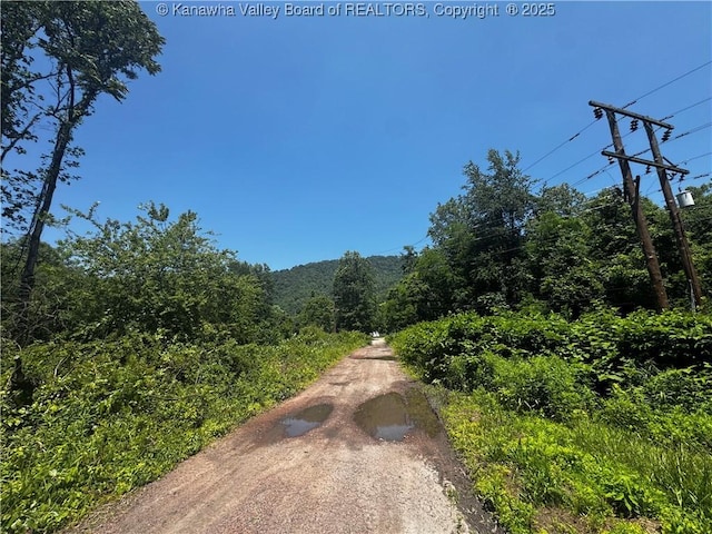 245 245 Way, Man, WV 25635