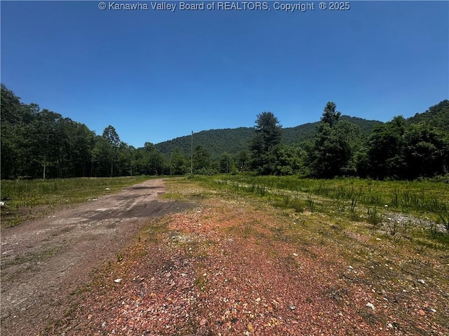 245 245 Way, Man, WV 25635