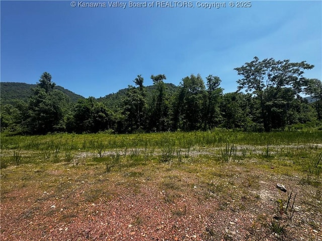 245 245 Way, Man, WV 25635