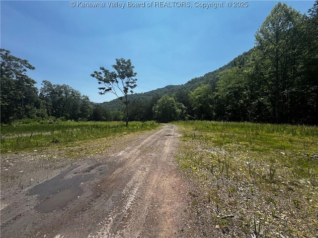 245 245 Way, Man, WV 25635