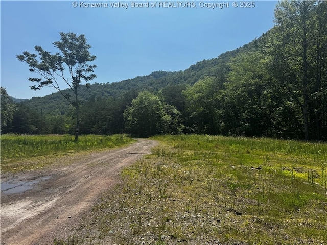 245 245 Way, Man, WV 25635