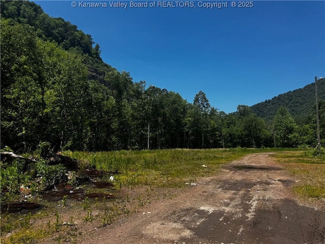 245 245 Way, Man, WV 25635