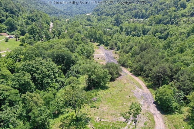 245 245 Way, Man, WV 25635