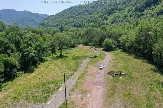 245 245 Way, Man, WV 25635
