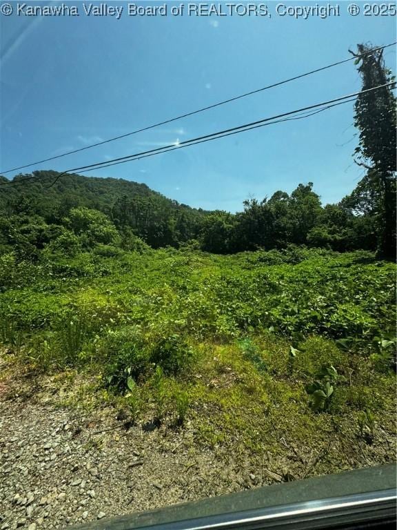 245 245 Way, Man, WV 25635