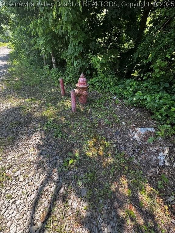 245 245 Way, Man, WV 25635