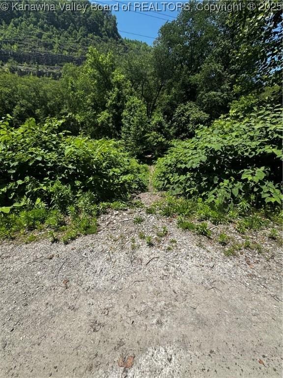 245 245 Way, Man, WV 25635