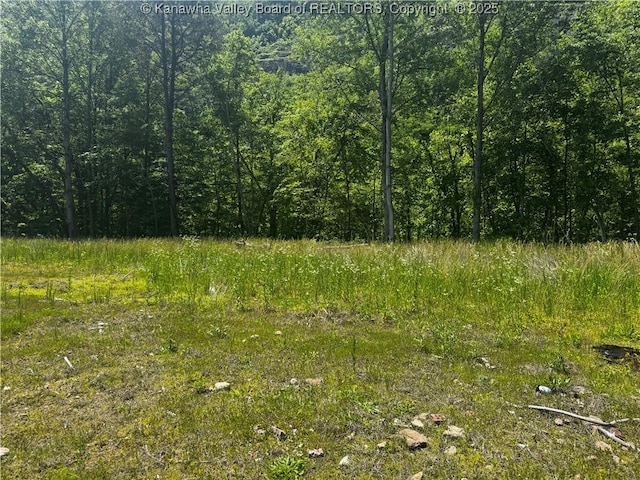 245 245 Way, Man, WV 25635
