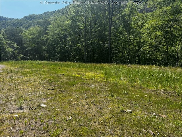 245 245 Way, Man, WV 25635