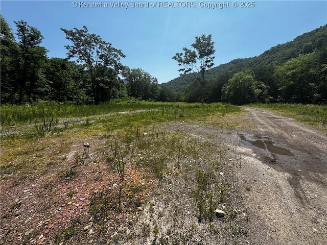 245 245 Way, Man, WV 25635