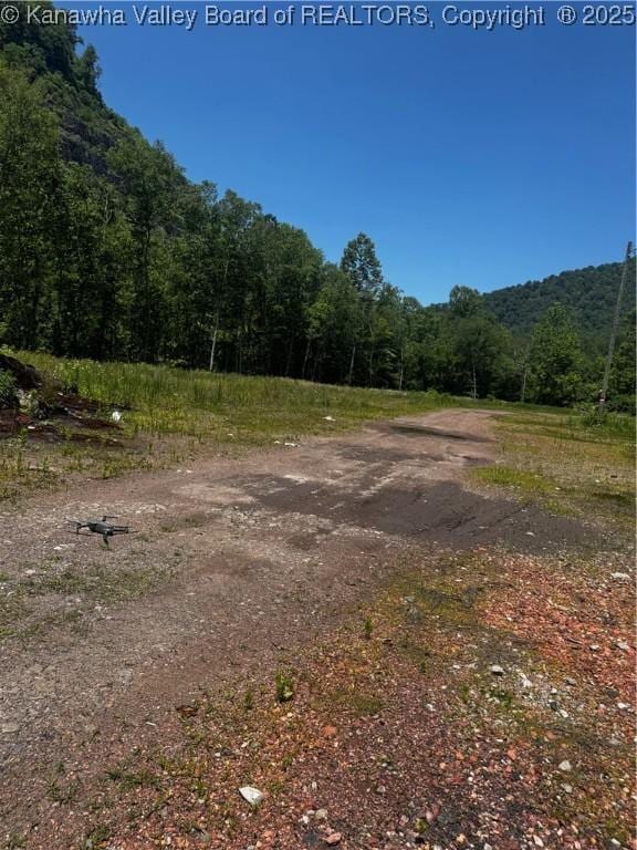 245 245 Way, Man, WV 25635