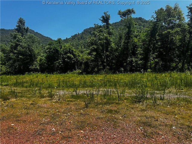 245 245 Way, Man, WV 25635
