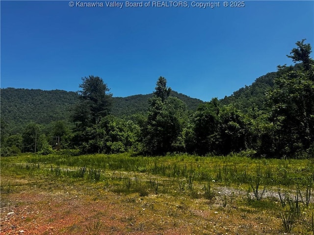245 245 Way, Man, WV 25635