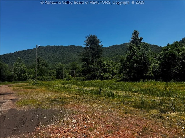 245 245 Way, Man, WV 25635