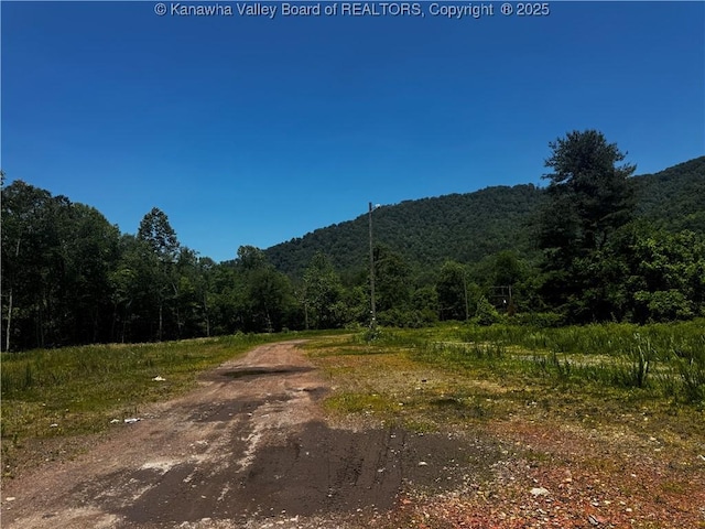 245 245 Way, Man, WV 25635