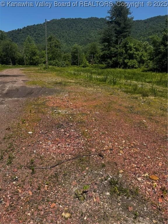 245 245 Way, Man, WV 25635
