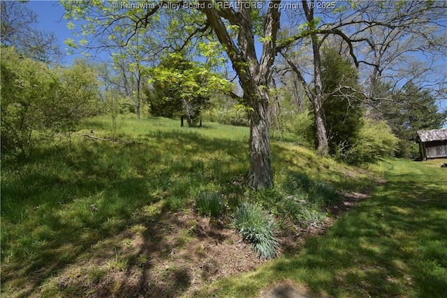 6 Coast Run Rd, Sandyville, WV 25275 - view of yard