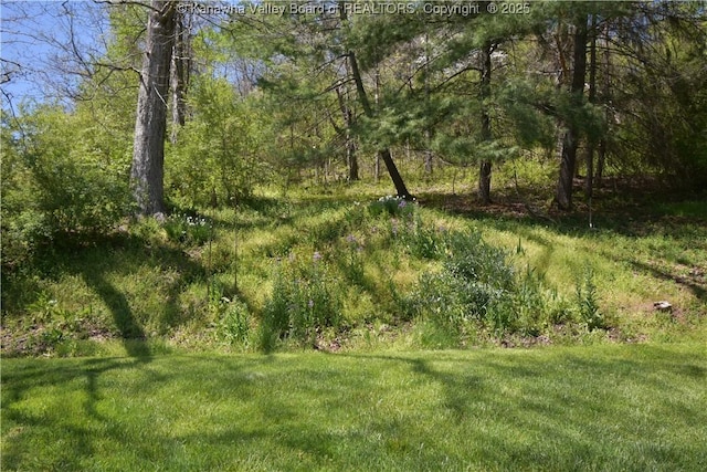 6 Coast Run Rd, Sandyville, WV 25275 - view of nature