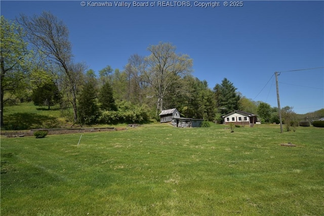 6 Coast Run Rd, Sandyville, WV 25275 - view of green lawn